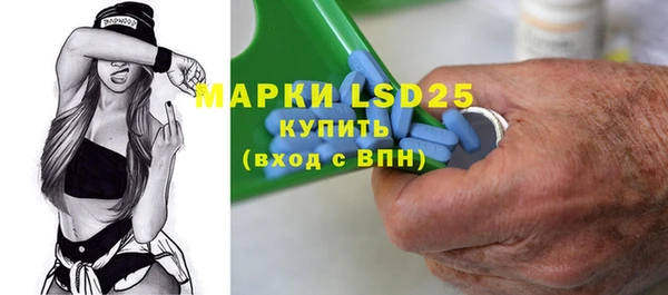 PSILOCYBIN Медвежьегорск