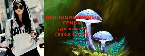 амф Медногорск