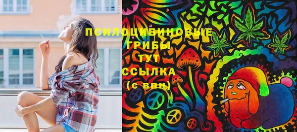 амф Медногорск