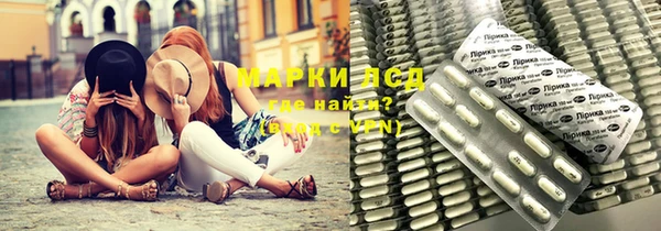 PSILOCYBIN Медвежьегорск