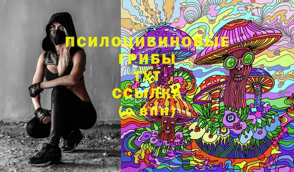 PSILOCYBIN Медвежьегорск