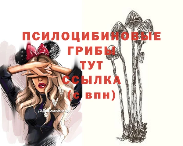 амф Медногорск