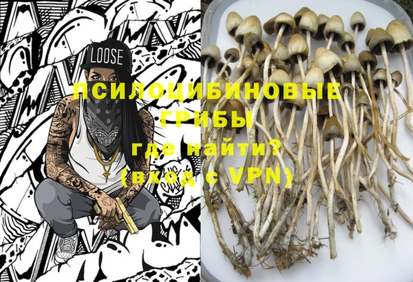 PSILOCYBIN Медвежьегорск
