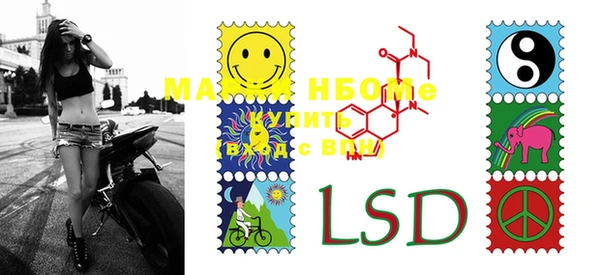 PSILOCYBIN Медвежьегорск