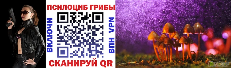 Купить закладки  Йошкар-Ола  Псилоцибиновые грибы прущие грибы 